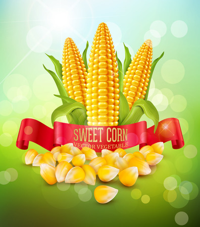 POORVI FAST FOOD SWEET CORN